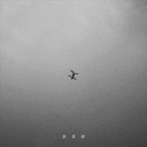 爱爱免费网账号
